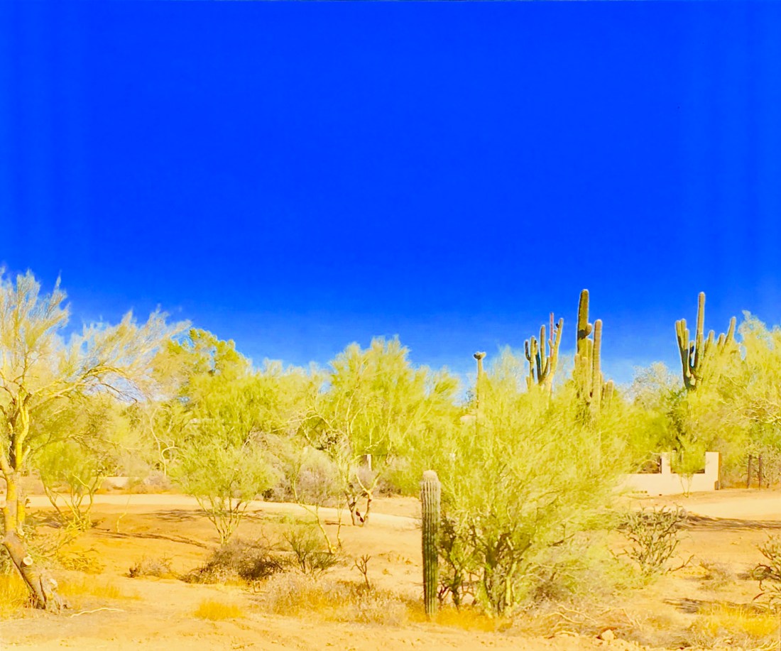 E81E0C79-5854-42DC-827D-29E99A45BA4F